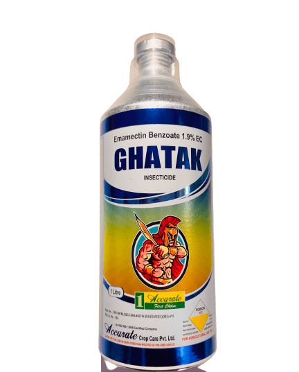 Product 6